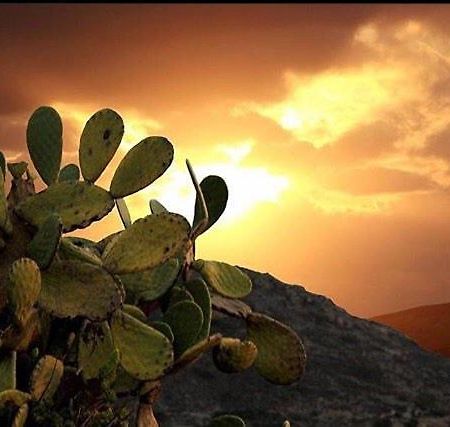 Отель Prickly Pear House Plaka  Экстерьер фото