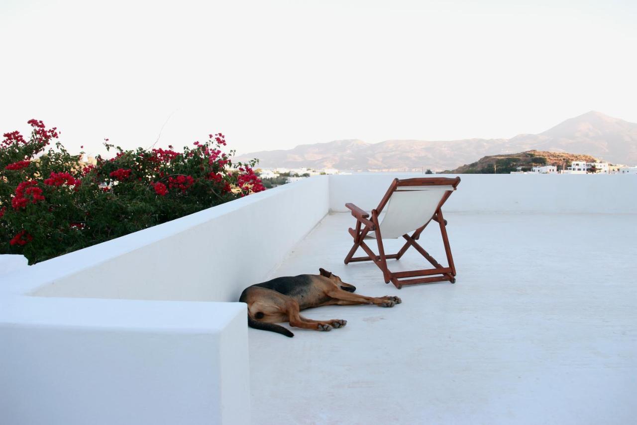 Отель Prickly Pear House Plaka  Экстерьер фото
